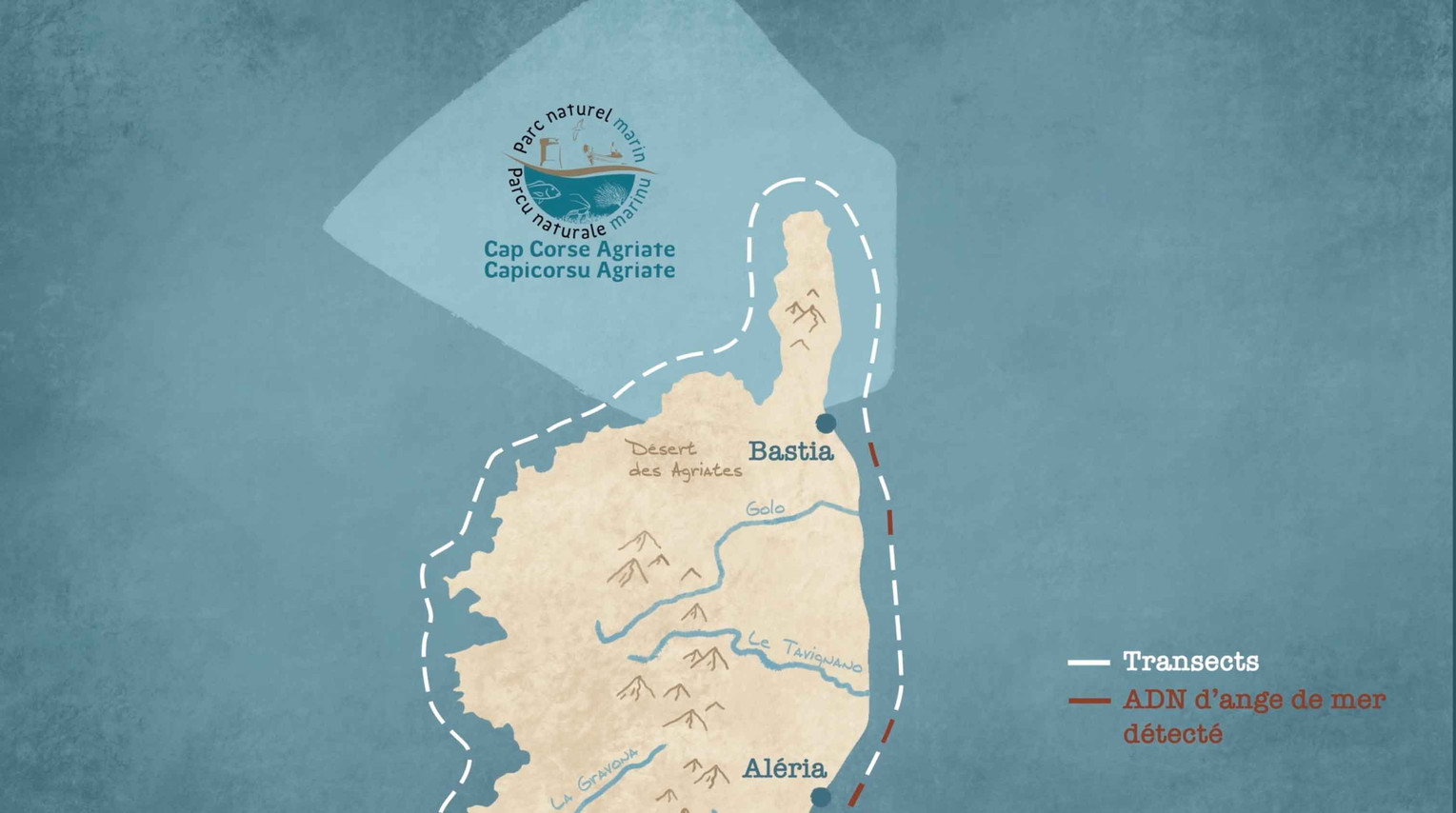 Carte de Corse et site d’étude des anges de mer.