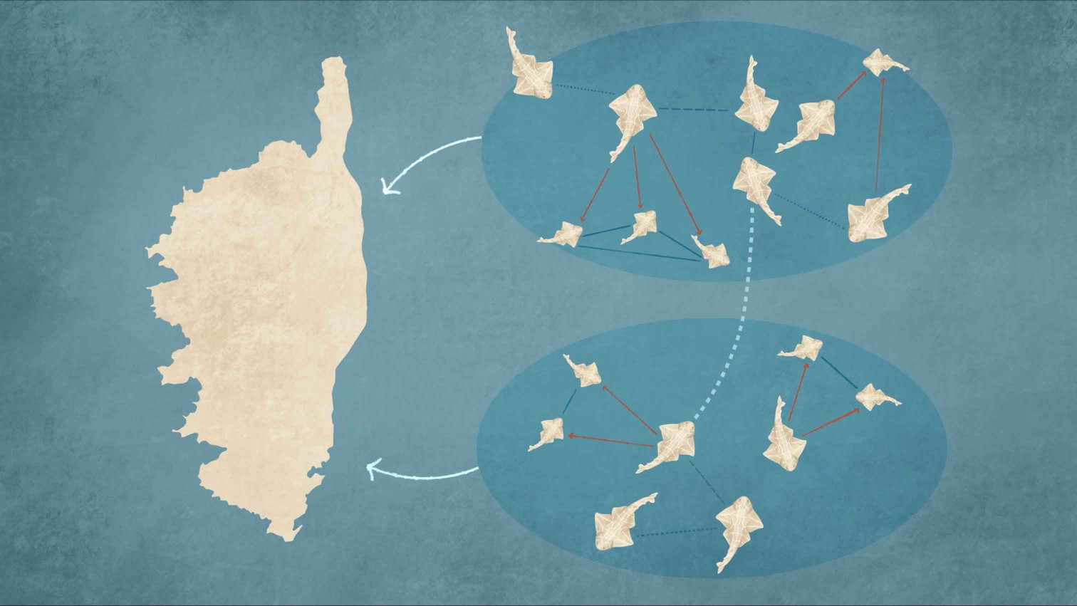Carte de Corse et silhouettes d’anges de mer.