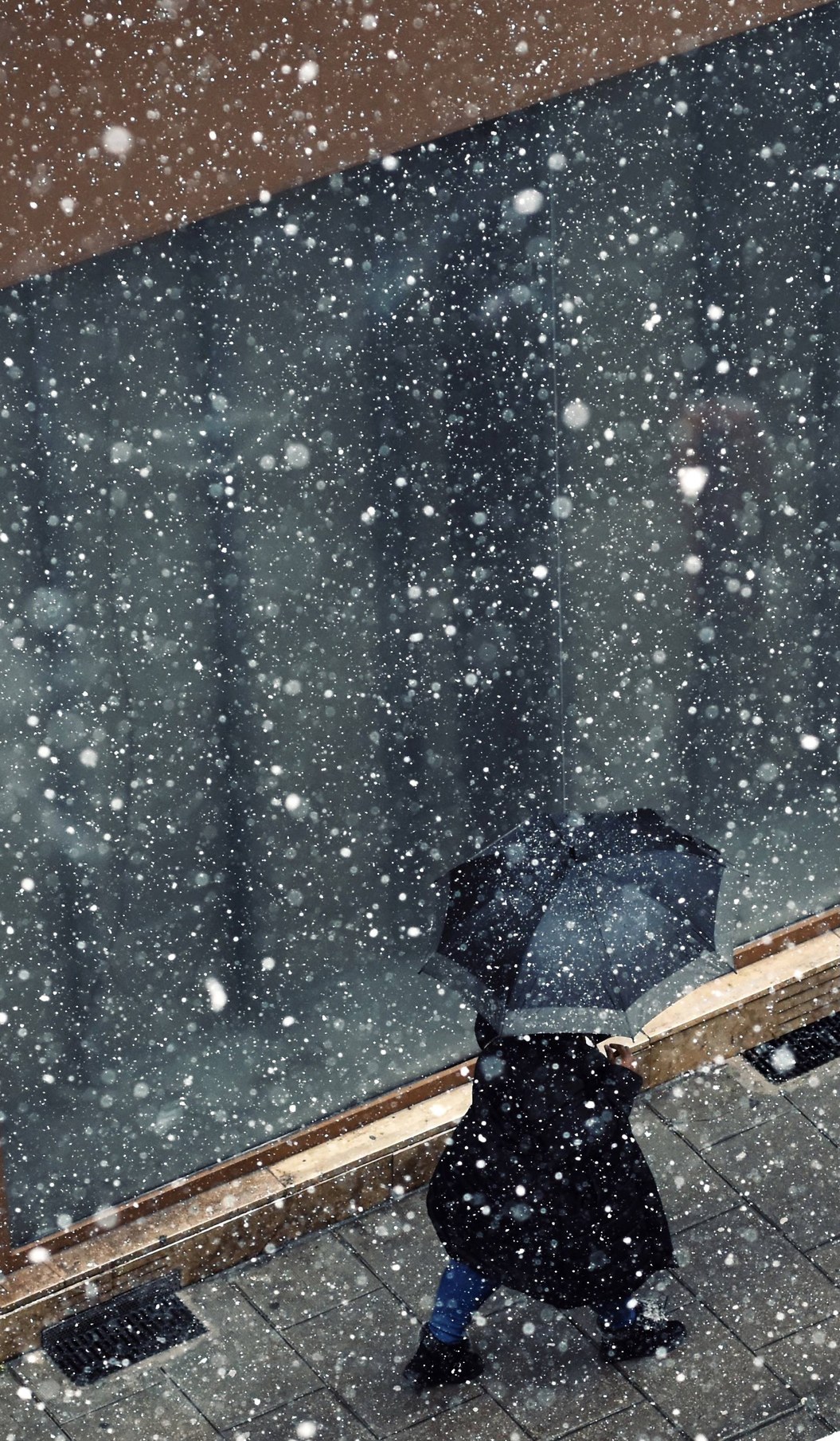 Personne sous un parapluie pendant une chute de neige.