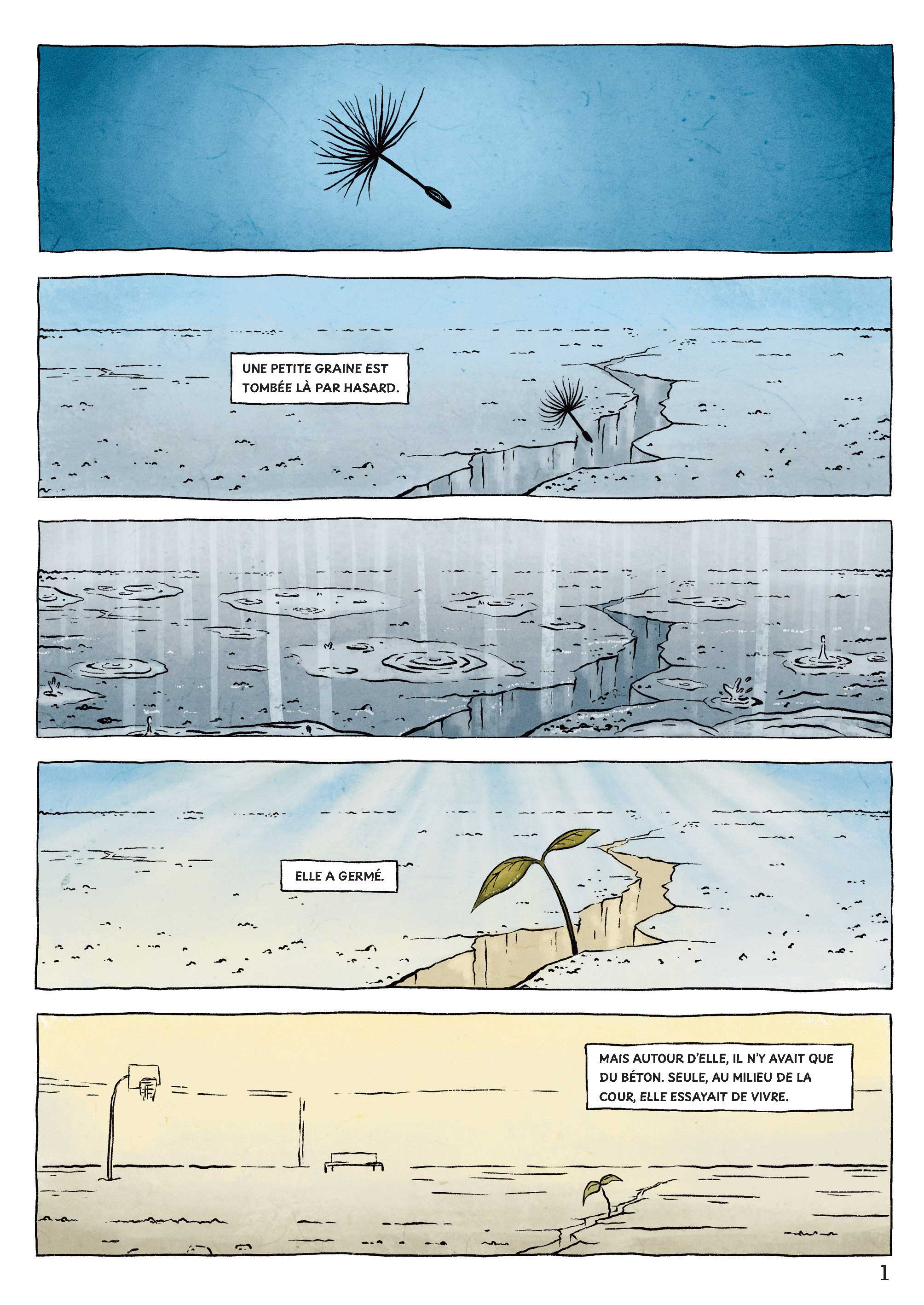 Première page : une graine germe dans une fissure du béton de la cour d'école.